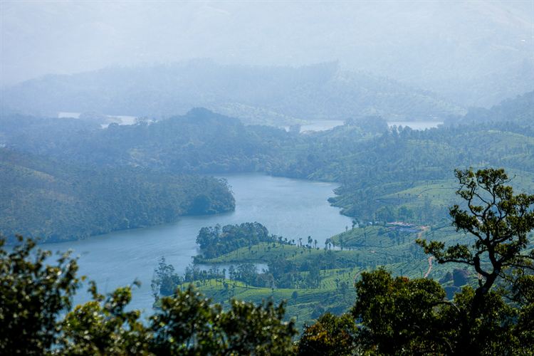 A misty green valley with a winding lake