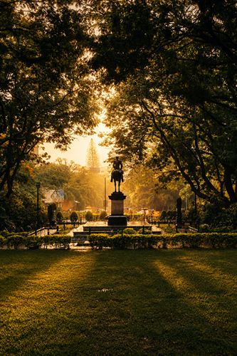 Golden light through trees over a park lawn